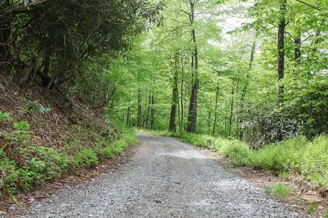 795 Porterfield Gap Road Robbinsville NC 28771