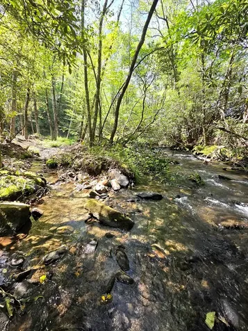 795 Porterfield Gap Road Robbinsville NC 28771