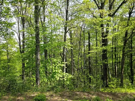 795 Porterfield Gap Road Robbinsville NC 28771