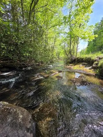 795 Porterfield Gap Road Robbinsville NC 28771