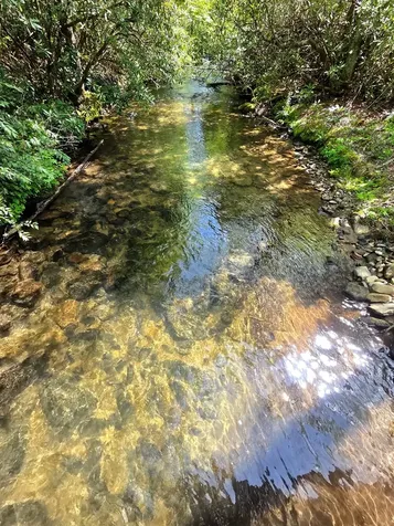 795 Porterfield Gap Road Robbinsville NC 28771