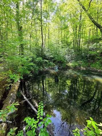 795 Porterfield Gap Road Robbinsville NC 28771