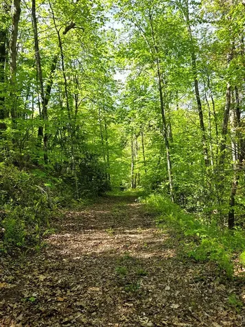 795 Porterfield Gap Road Robbinsville NC 28771