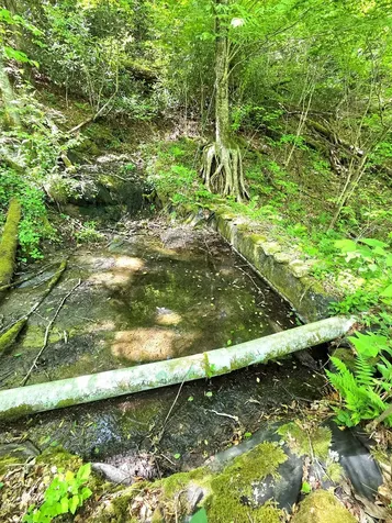 795 Porterfield Gap Road Robbinsville NC 28771
