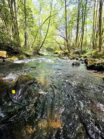795 Porterfield Gap Road Robbinsville NC 28771