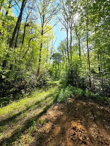 795 Porterfield Gap Road Robbinsville NC 28771