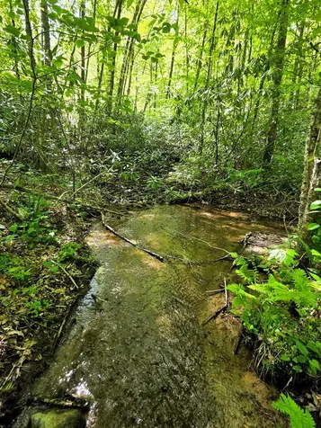 795 Porterfield Gap Road Robbinsville NC 28771