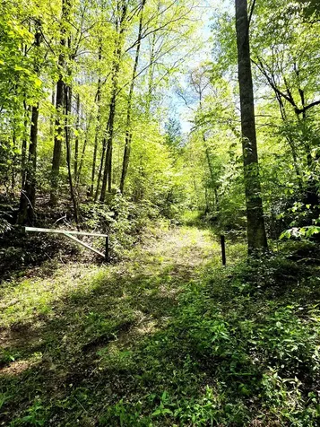 795 Porterfield Gap Road Robbinsville NC 28771