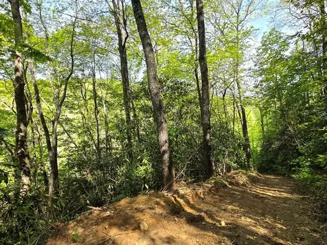 795 Porterfield Gap Road Robbinsville NC 28771