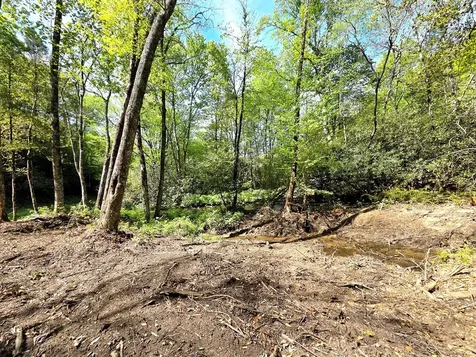 795 Porterfield Gap Road Robbinsville NC 28771
