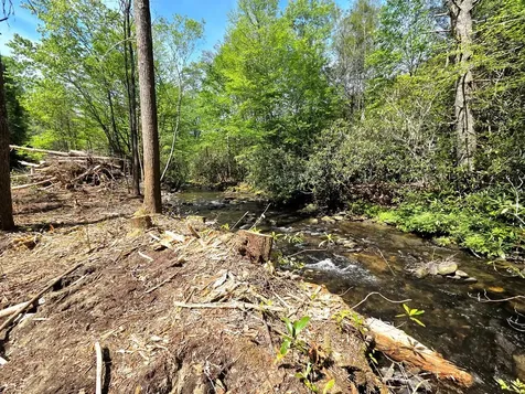 795 Porterfield Gap Road Robbinsville NC 28771
