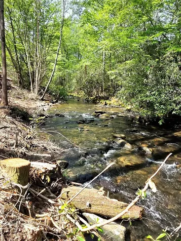 795 Porterfield Gap Road Robbinsville NC 28771