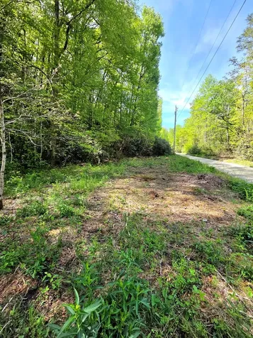 795 Porterfield Gap Road Robbinsville NC 28771