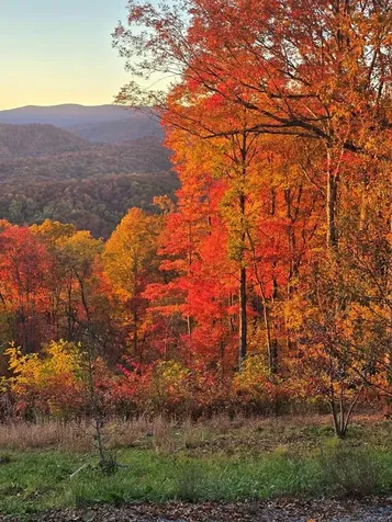 795 Porterfield Gap Road Robbinsville NC 28771