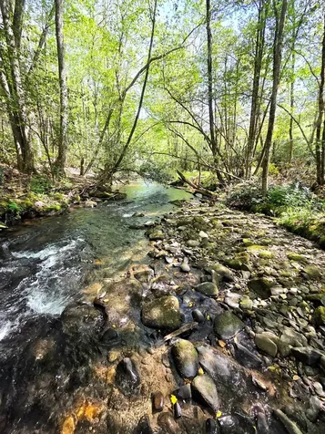 795 Porterfield Gap Road Robbinsville NC 28771