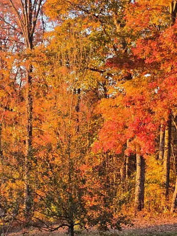 795 Porterfield Gap Road Robbinsville NC 28771