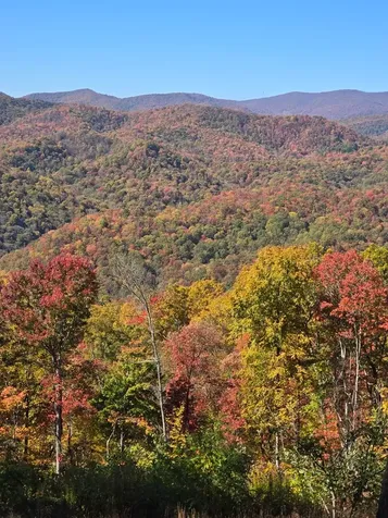 795 Porterfield Gap Road Robbinsville NC 28771