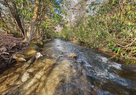 795 Porterfield Gap Road Robbinsville NC 28771