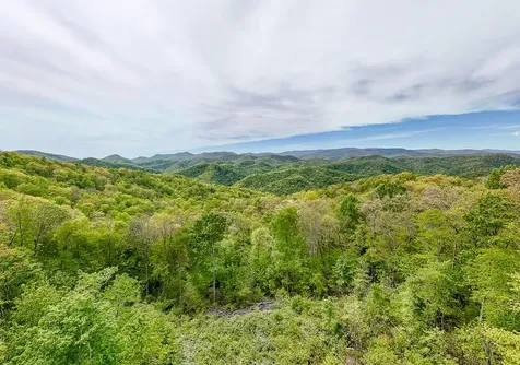 795 Porterfield Gap Road Robbinsville NC 28771