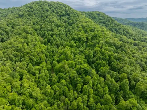 00 Walnut Cove Branch Robbinsville NC 28771