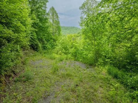 00 Walnut Cove Branch Robbinsville NC 28771
