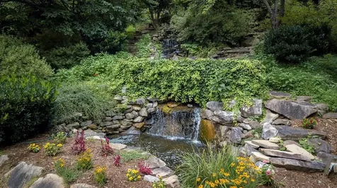 Lot 24 Old Lodge Road Robbinsville NC 28771
