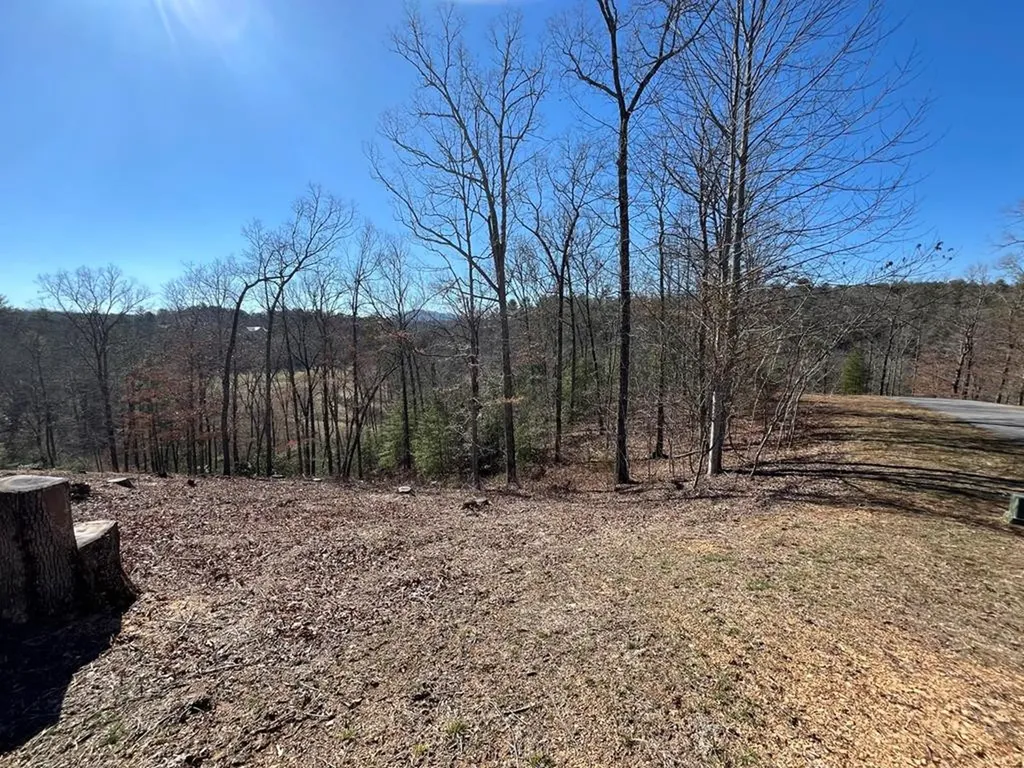 17 Fish Hawk Ridge Murphy NC 28906