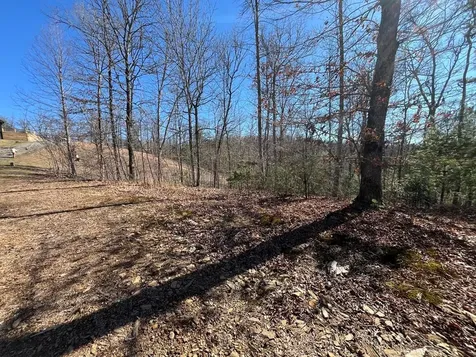 17 Fish Hawk Ridge Murphy NC 28906