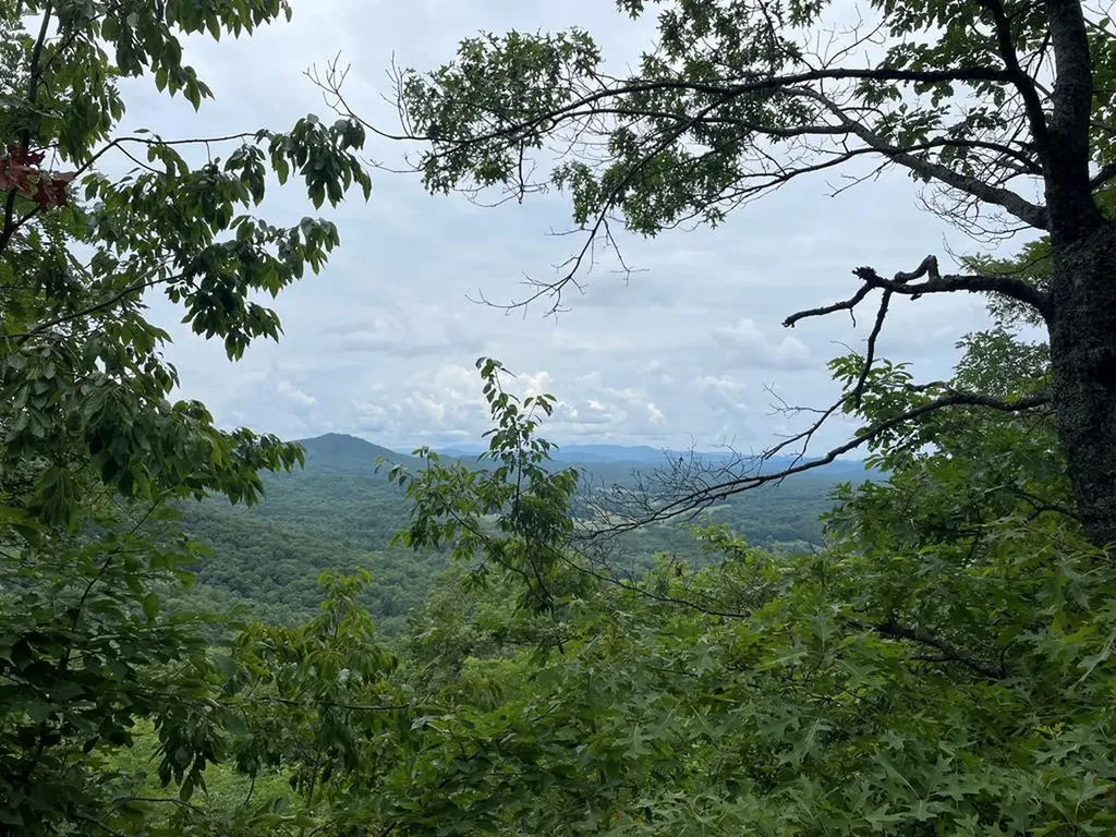 12, 13a Brasstown Heights Lane Brasstown NC 28902