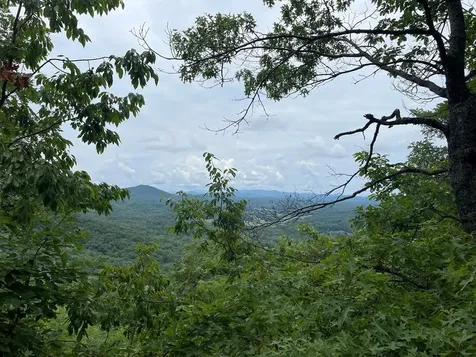12, 13a Brasstown Heights Lane Brasstown NC 28902