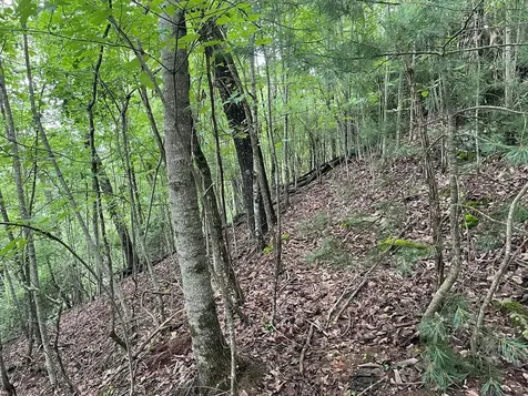 12, 13a Brasstown Heights Lane Brasstown NC 28902