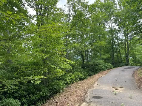 12, 13a Brasstown Heights Lane Brasstown NC 28902