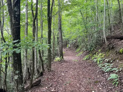 12, 13a Brasstown Heights Lane Brasstown NC 28902