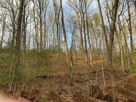 Lot 3 Ivy Log Road Murphy NC 28906