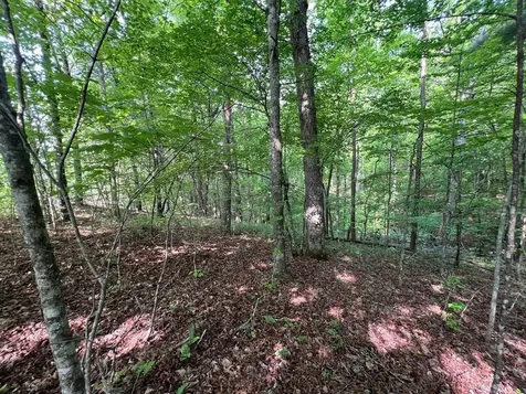 Lot 1 Weece Mountain Murphy NC 28906