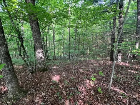 Lot 1 Weece Mountain Murphy NC 28906