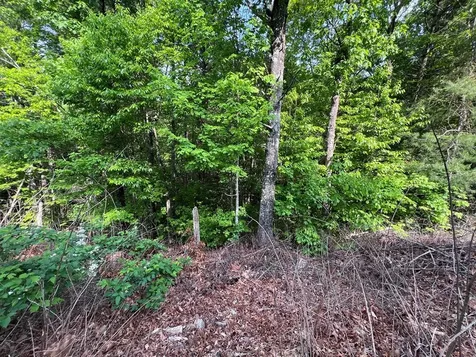 Lot 1 Weece Mountain Murphy NC 28906