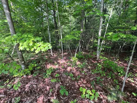 Lot 1 Weece Mountain Murphy NC 28906