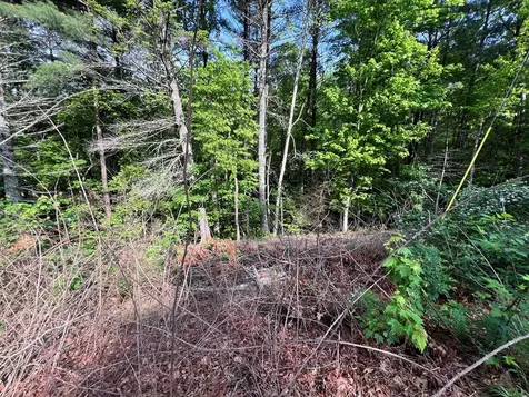 Lot 1 Weece Mountain Murphy NC 28906