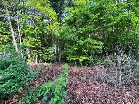 Lot 1 Weece Mountain Murphy NC 28906
