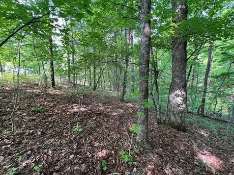 Lot 1 Weece Mountain Murphy NC 28906