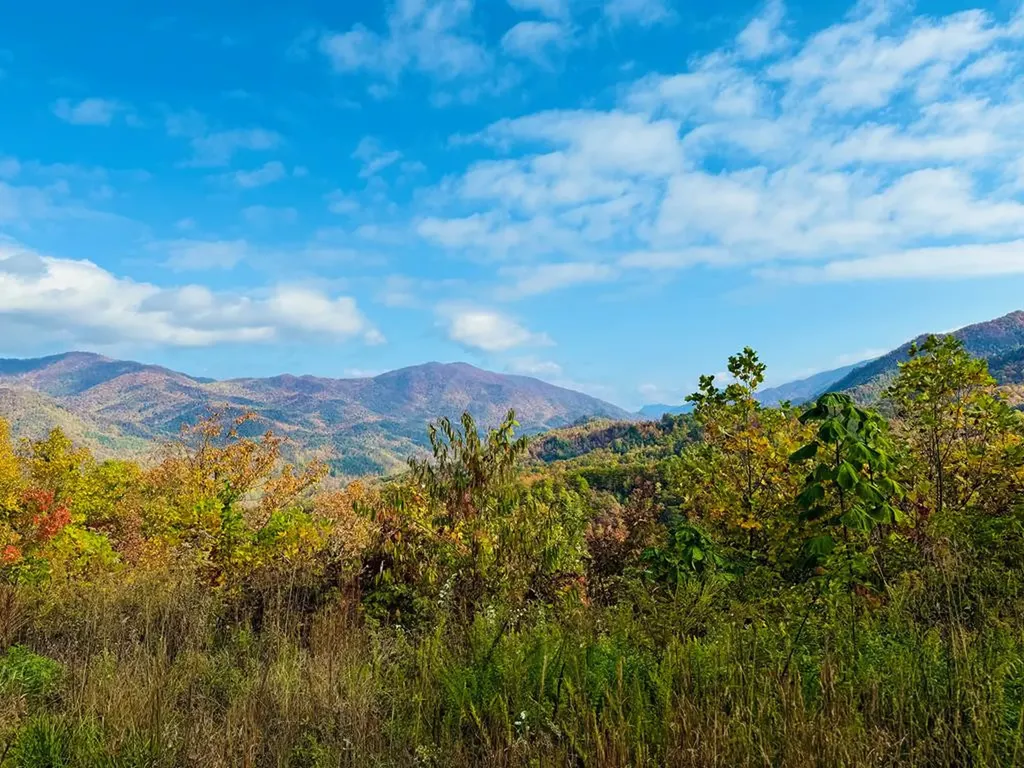 Lot 7 Serenity Ridge Trail Andrews NC 28901