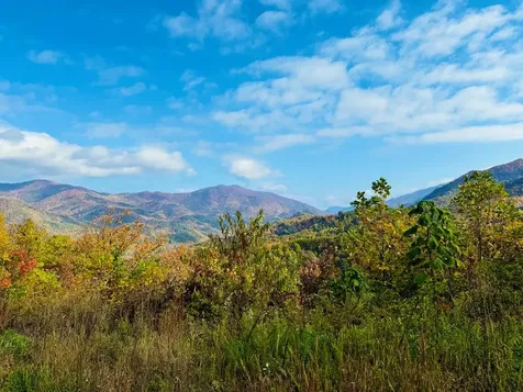 Lot 7 Serenity Ridge Trail Andrews NC 28901