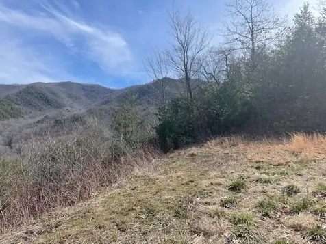 Lot 7 Serenity Ridge Trail Andrews NC 28901