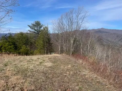 Lot 7 Serenity Ridge Trail Andrews NC 28901