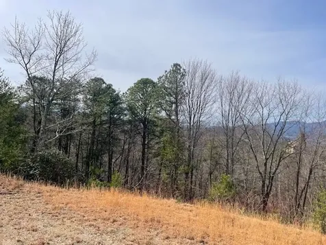 Lot 7 Serenity Ridge Trail Andrews NC 28901