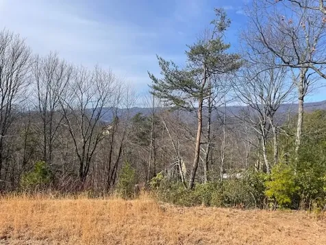 Lot 7 Serenity Ridge Trail Andrews NC 28901