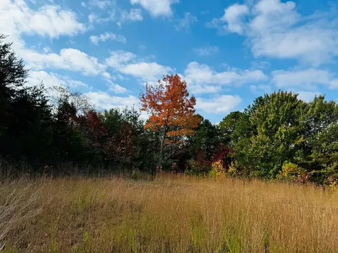Lot 7 Serenity Ridge Trail Andrews NC 28901