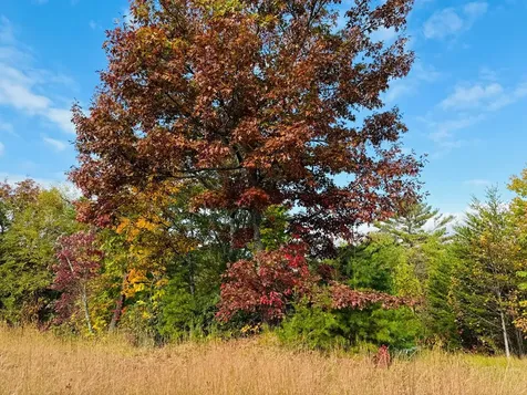 Lot 7 Serenity Ridge Trail Andrews NC 28901