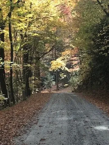 Lot 7 Serenity Ridge Trail Andrews NC 28901